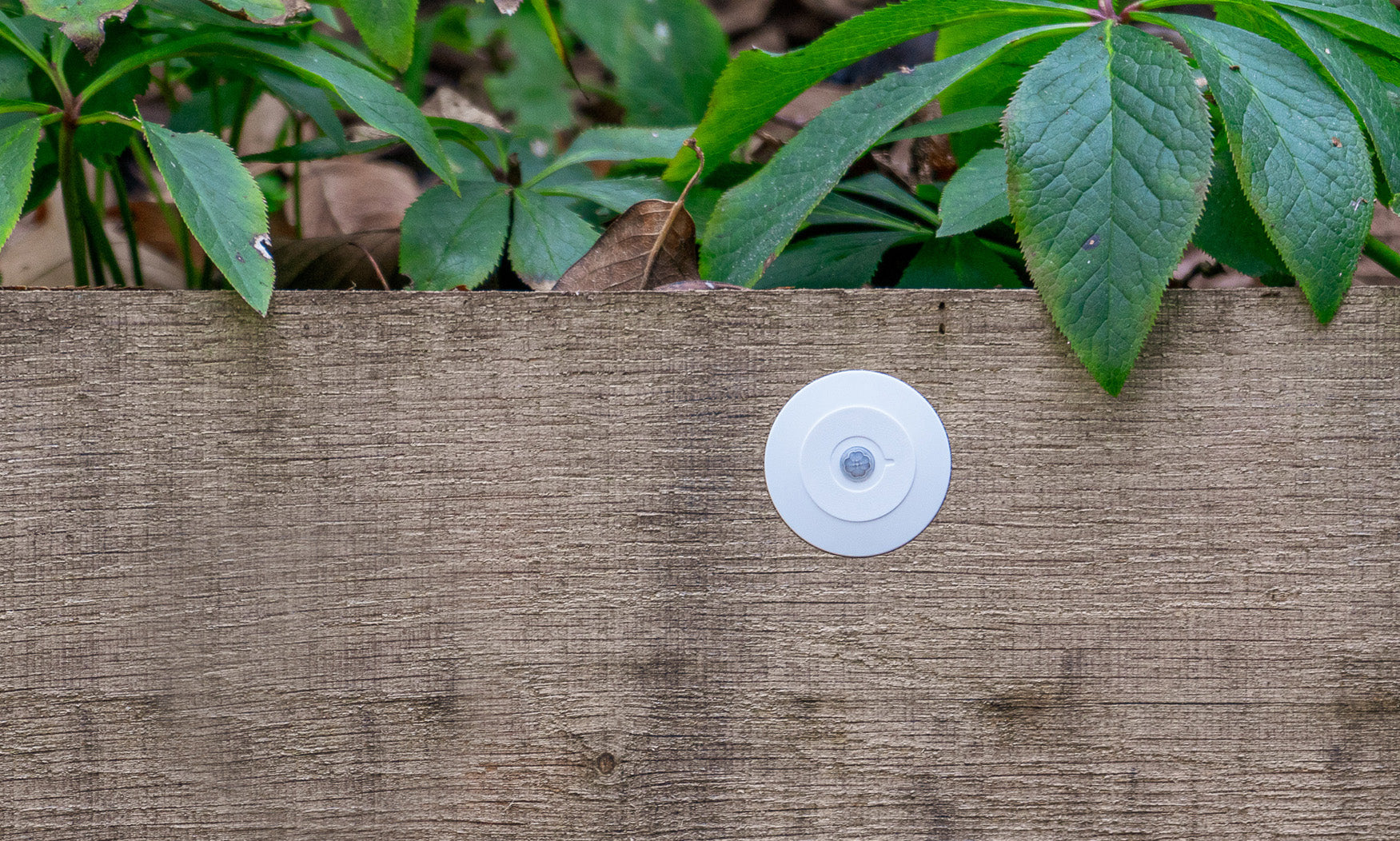 Faradite PIR motion sensor outdoors in a garden